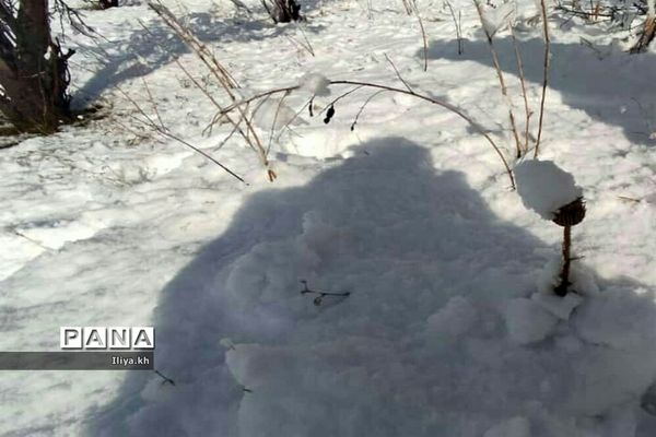 بارش اولین برف اسفند در فارسان