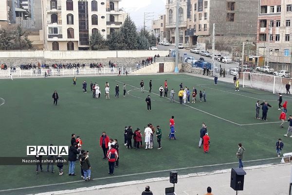 بازی دوستانه تیم ملی فوتبال پیشکسوتان ایران و رودهن