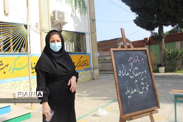 بازارچه مواد غذایی و دست‌سازه‌ها در گلوگاه