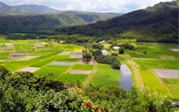 اراضی کشاورزی هویت‌دار می‌شود