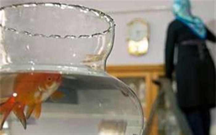 نکات ایمنی در خانه‌تکانی