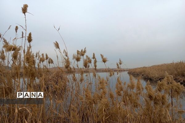 اردوی مجازی راهیان‌نور دانش‌آموزان فشافویه و کهریزک