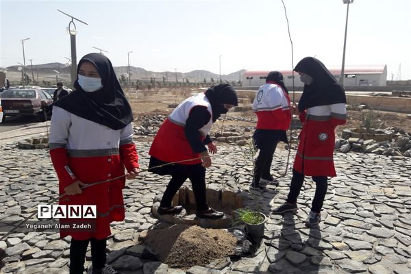 مراسم روز درختکاری در زاهدان