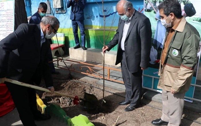 غرس یک اصله نهال توسط سرپرست آموزش و پرورش خراسان‌رضوی در یکی از مدارس مشهد