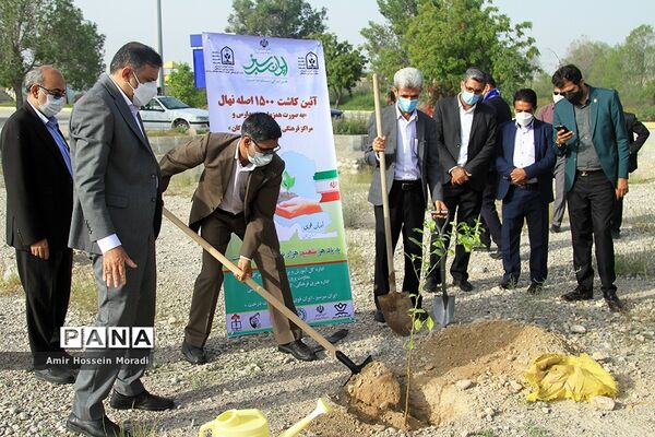 آئین کاشت 1500 اصله نهال در هرمزگان