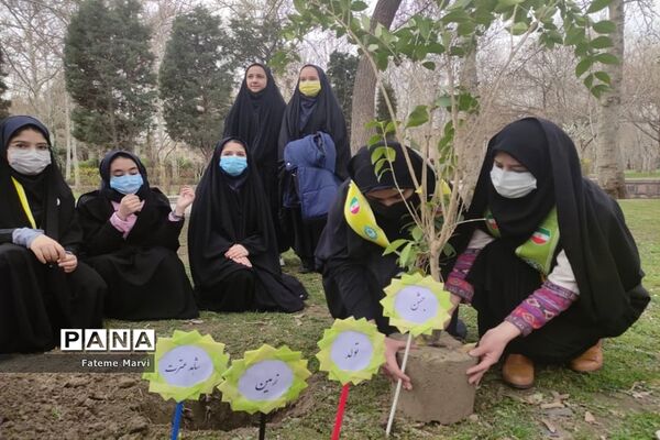 مراسم روز درختکاری در پارک ملت مشهد