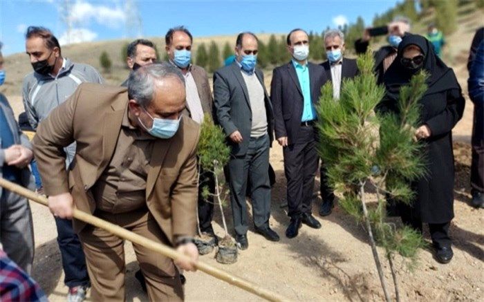 حفاظت از محیط زیست از وظایف مهم هر انسان است