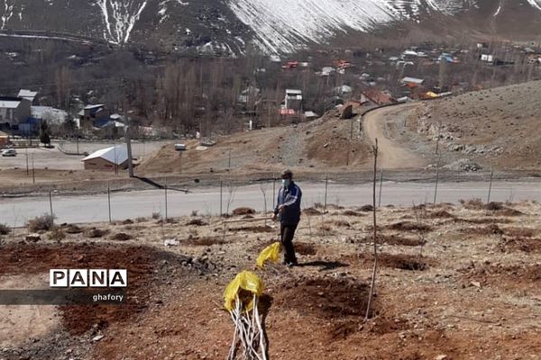 برگزاری مراسم روز درختکاری در مدارس شهرستان دماوند