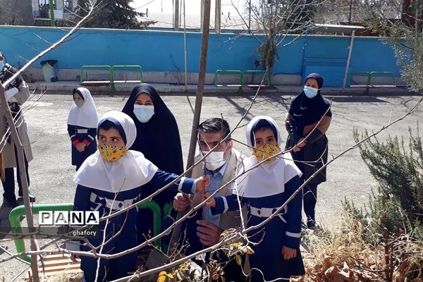 برگزاری مراسم روز درختکاری در مدارس شهرستان دماوند