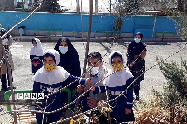 برگزاری مراسم روز درختکاری در مدارس شهرستان دماوند