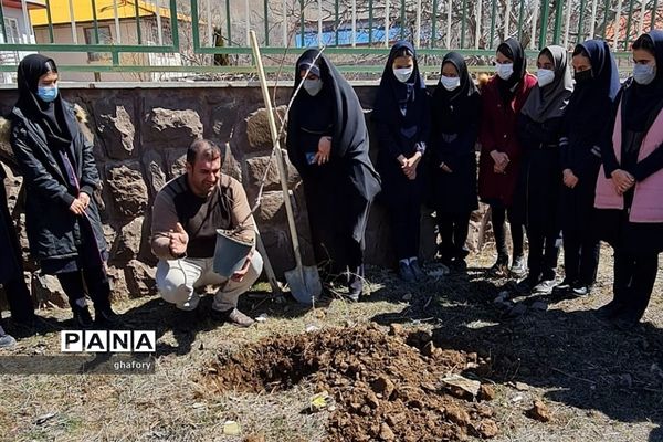 برگزاری مراسم روز درختکاری در مدارس شهرستان دماوند