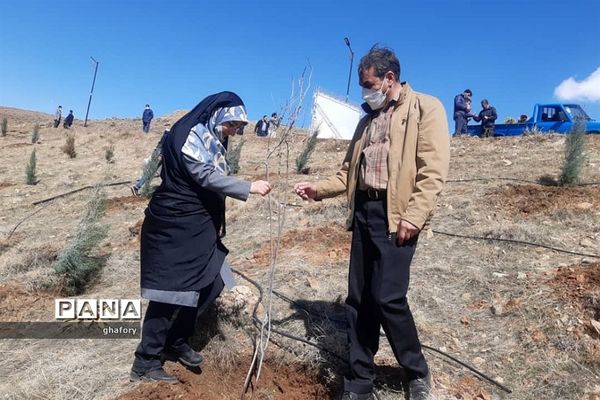 برگزاری مراسم روز درختکاری در مدارس شهرستان دماوند