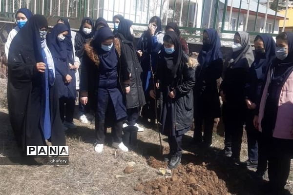 برگزاری مراسم روز درختکاری در مدارس شهرستان دماوند