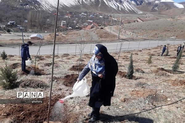 برگزاری مراسم روز درختکاری در مدارس شهرستان دماوند