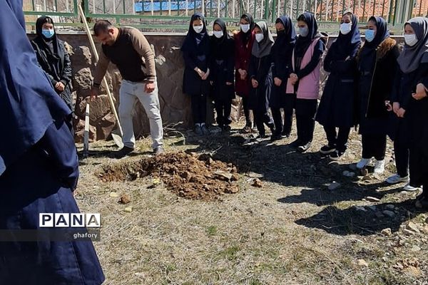 برگزاری مراسم روز درختکاری در مدارس شهرستان دماوند