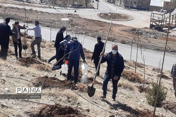 برگزاری مراسم روز درختکاری در مدارس شهرستان دماوند