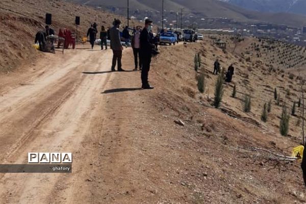 برگزاری مراسم روز درختکاری در مدارس شهرستان دماوند