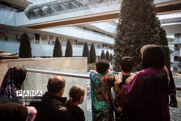 نخستین فستیوال ملی وشوو