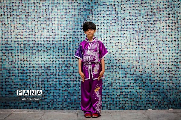 نخستین فستیوال ملی وشوو