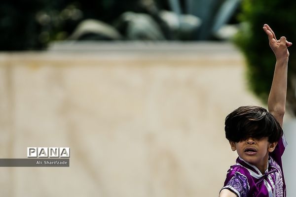 نخستین فستیوال ملی وشوو