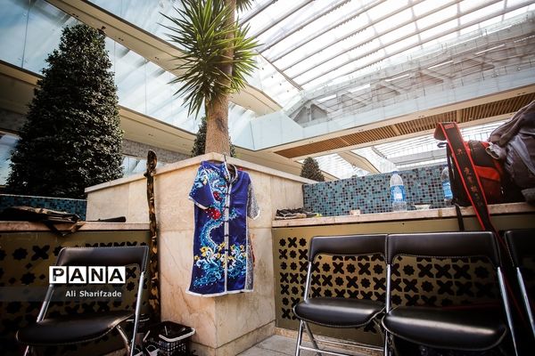 نخستین فستیوال ملی وشوو