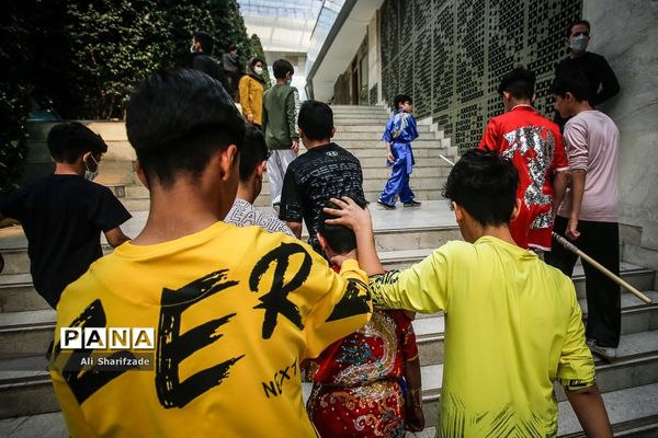 نخستین فستیوال ملی وشوو