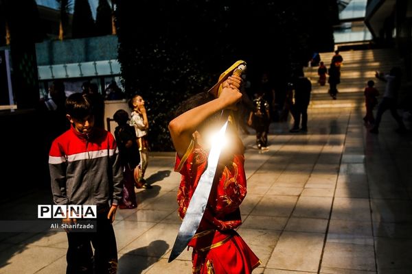 نخستین فستیوال ملی وشوو