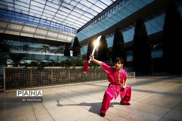 نخستین فستیوال ملی وشوو