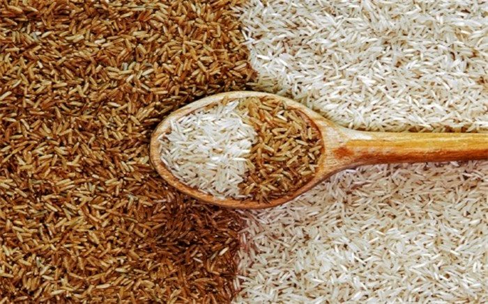 این برنج شما را چاق نمی‌کند