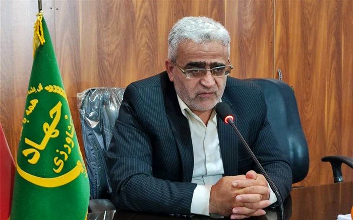 سالانه ۱۴۰ هزار تن مرکبات در شهرستان نکا تولید می‌شود