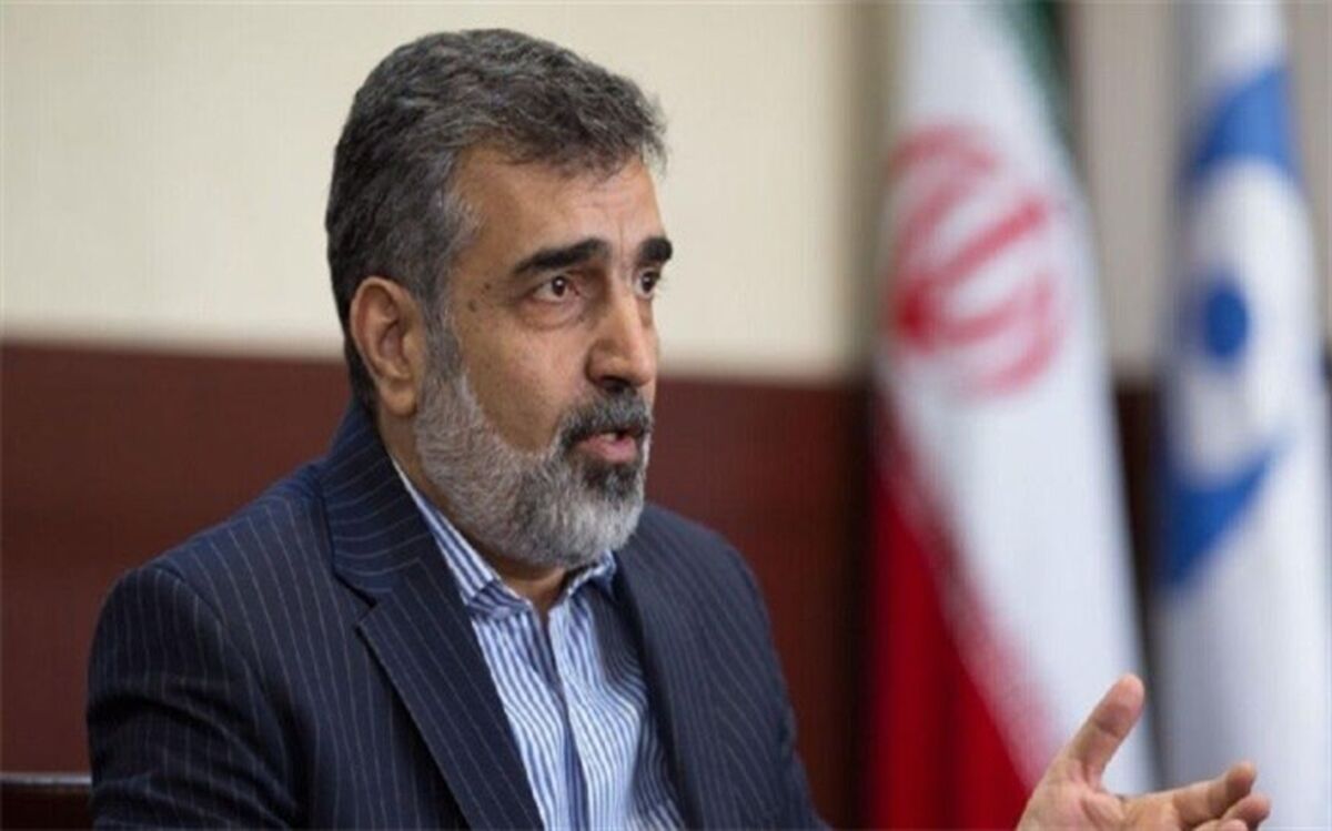 کمالوندی: گروسی از اظهارات رسانه‌ای با رنگ و بوی سیاسی فاصله بگیرد