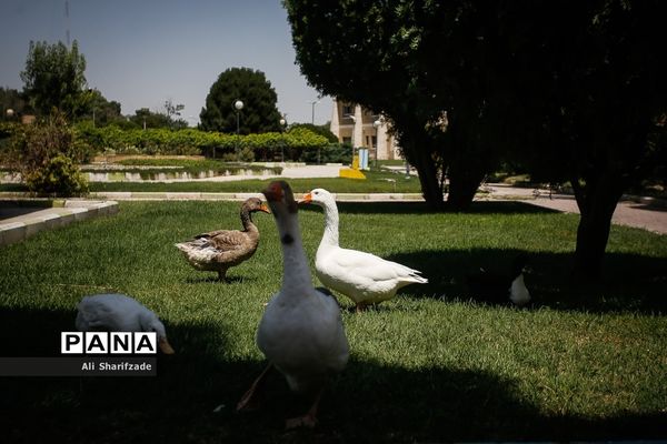 آسایشگاه کهریزک