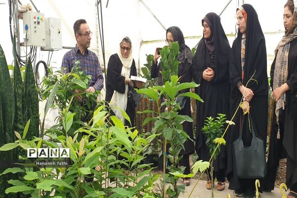 بازدید هنرجویان از گلخانه به‌مناسبت هفته جهاد کشاورزی در محمود‌آباد
