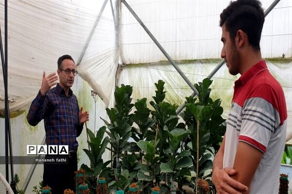 بازدید هنرجویان از گلخانه به‌مناسبت هفته جهاد کشاورزی در محمود‌آباد