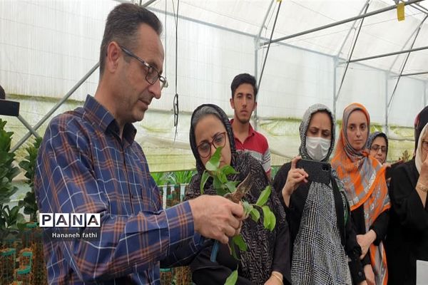 بازدید هنرجویان از گلخانه به‌مناسبت هفته جهاد کشاورزی در محمود‌آباد