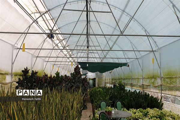 بازدید هنرجویان از گلخانه به‌مناسبت هفته جهاد کشاورزی در محمود‌آباد