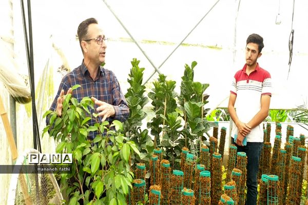 بازدید هنرجویان از گلخانه به‌مناسبت هفته جهاد کشاورزی در محمود‌آباد