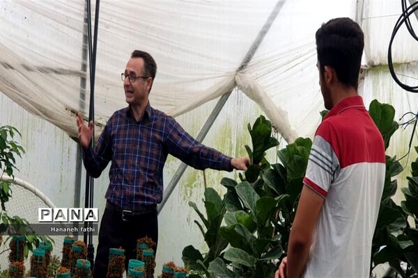 بازدید هنرجویان از گلخانه به‌مناسبت هفته جهاد کشاورزی در محمود‌آباد