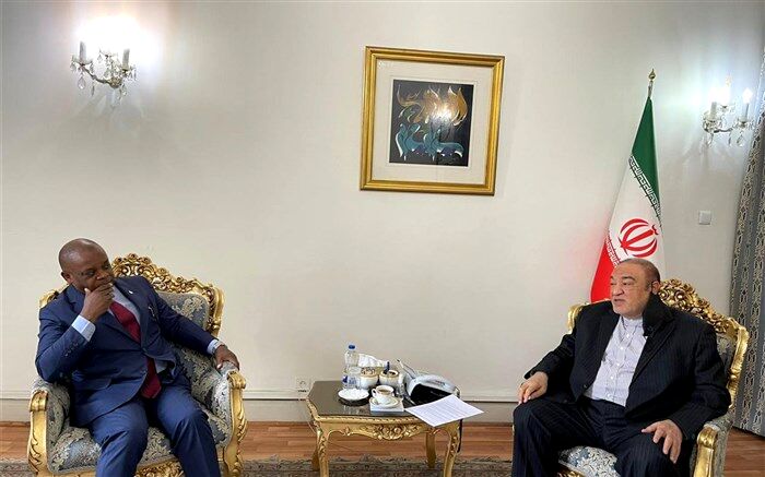 صفری: تهران برای تحقق اهداف مشترک کشورهای عضو دی هشت آمادگی دارد