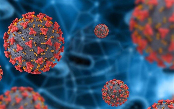 آغاز روند صعودی آمار بیماران کرونایی در خراسان جنوبی