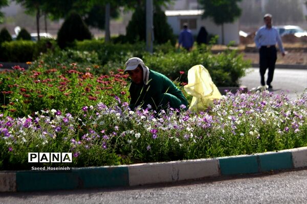 رقابت دانش‌آموزان در کنکور سراسری رشته تجربی در قم-3