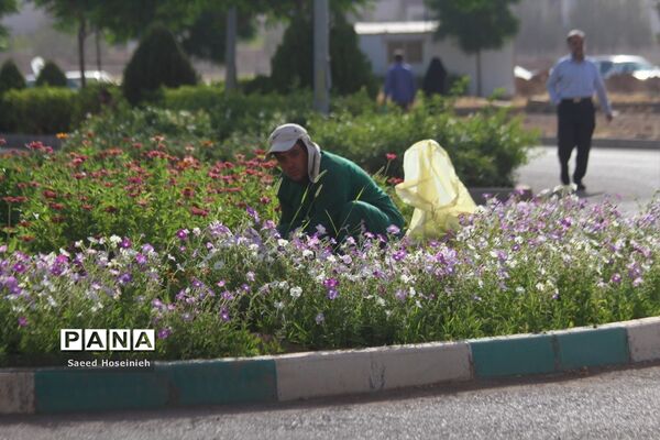 رقابت دانش‌آموزان در کنکور سراسری رشته تجربی در قم-3