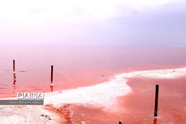 دریاچه ارومیه