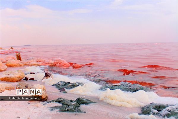 دریاچه ارومیه