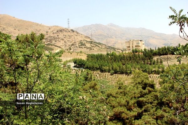 اردوی فرهنگی، تربیتی «شناسنامه‌های شهرمن»