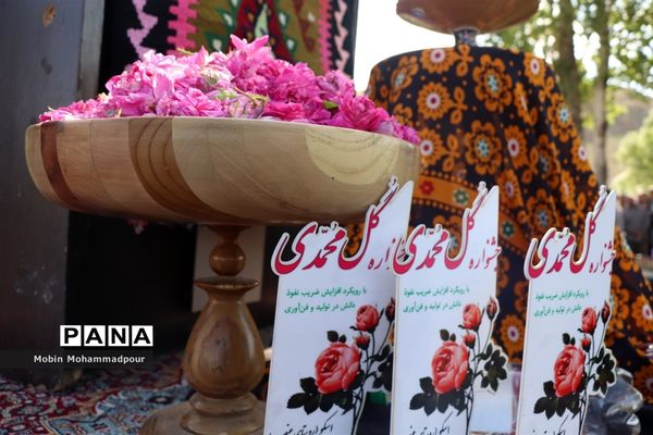 دهمین جشنواره گل محمدی در روستای آمقان بخش عنصرود