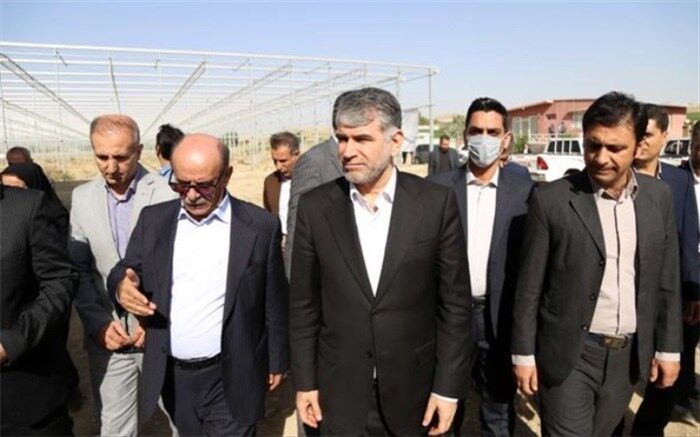 ‌بازدید وزیر جهاد کشاورزی از بزرگترین گلخانه هیدروپونیک کشور