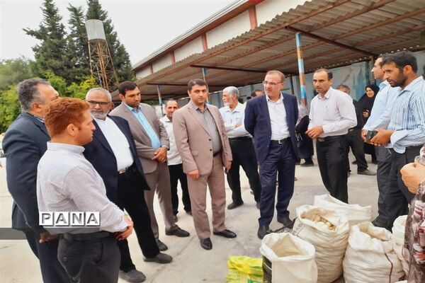 اولین جشنواره پیاز دارابکلا