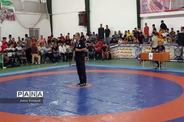 شهرستان ملارد میزبان کشتی نوجوانان کشور