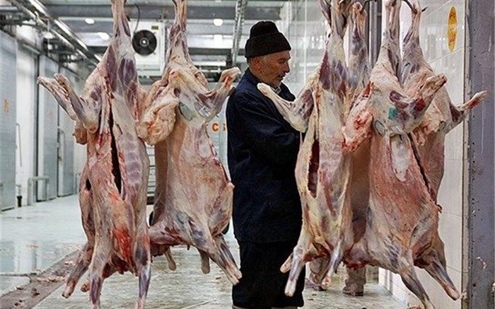 هشدار سازمان دامپزشکی در رابطه با تب کریمه کنگو